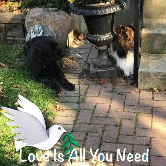 Meet your Posher, June - Picture 1 of 1